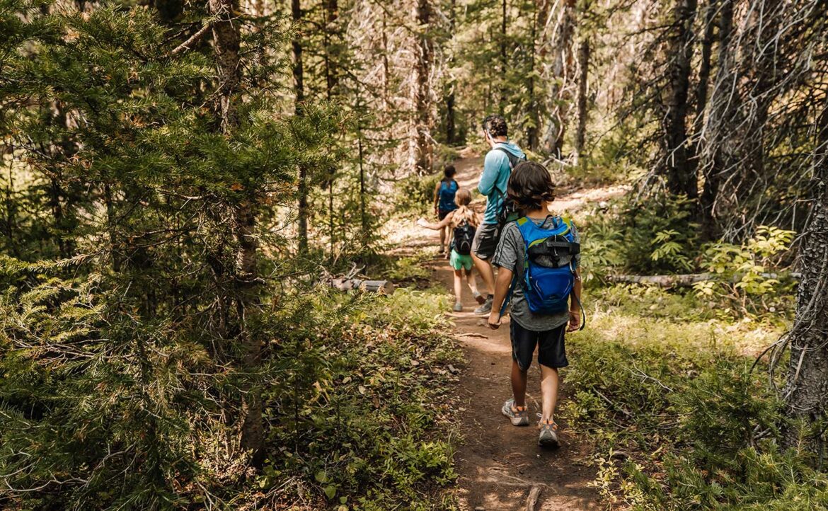 Finding and Making Shelter When You’re Stranded