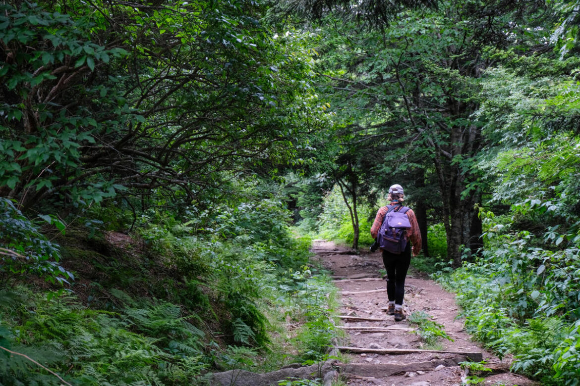 Signs of Dehydration Every Hiker Should Know